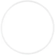 Sidney Hoop 80 cm FIG